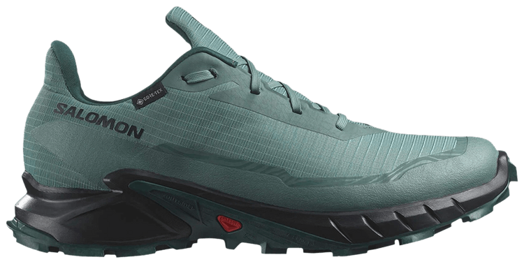 Salomon Alphacross 5 GORE TEX Sea Moss Black