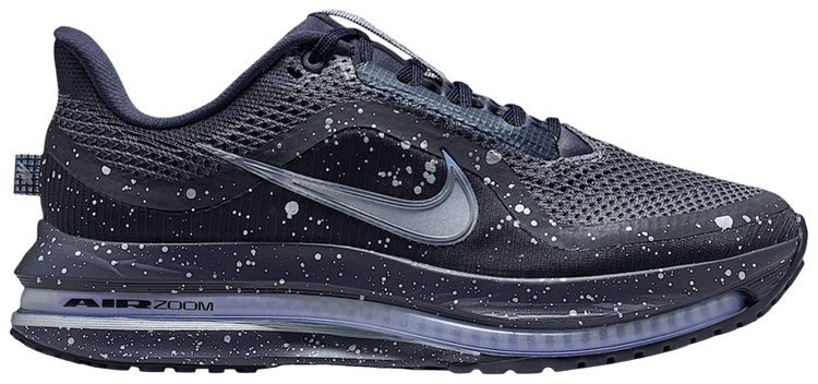 Nike Wmns Pegasus Premium SE  Cave PurpleMetallic SilverBlack