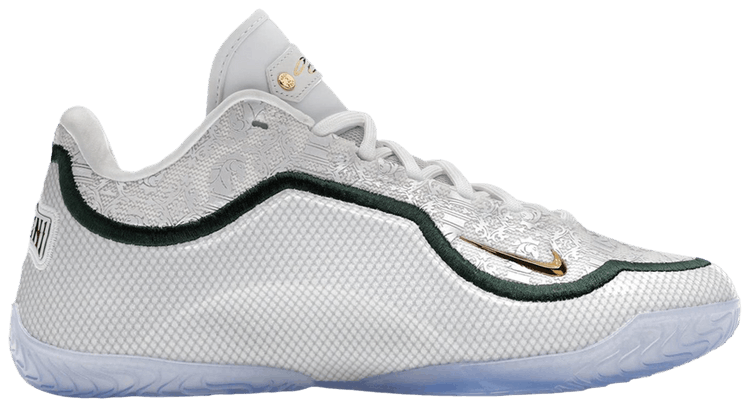 Nike Lebron 23 From This Point Forward