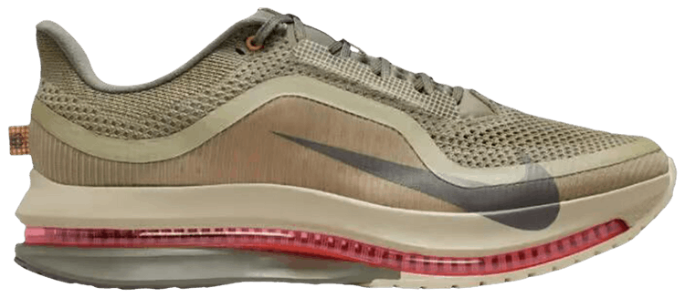 Nike Pegasus Premium Running Poets