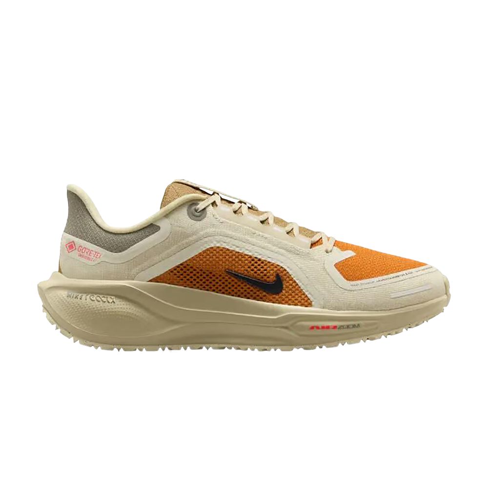 Nike Pegasus 41 GORE-TEX 'Running Poets' | Brown | Men's Size 10 - IM6700-852