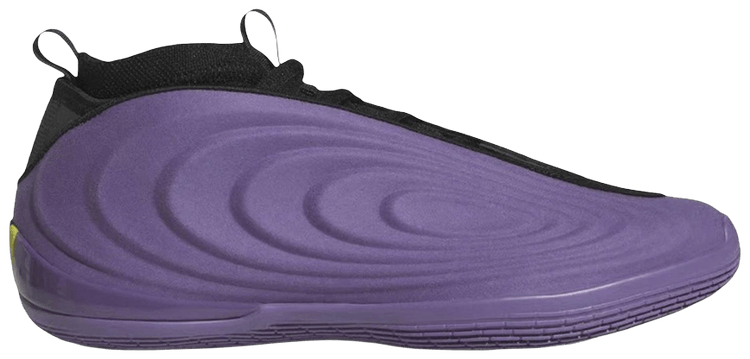adidas Harden Vol 10 Matte Purple