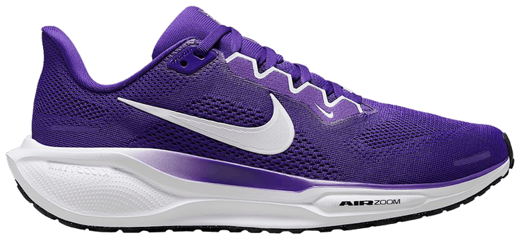 Nike Wmns Pegasus 41 Court Purple
