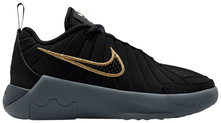 Nike Lebron Witness 9 PS Black Iron Grey