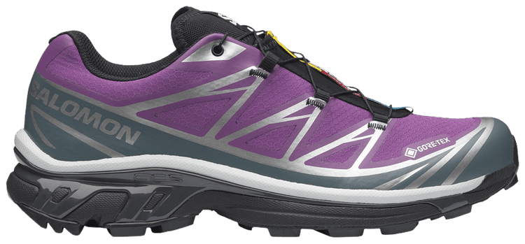 Salomon XT 6 GORE TEX Concord Grape Stormy Weather