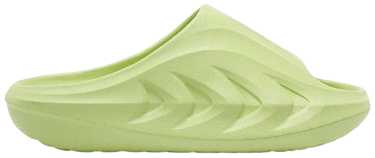 Rigorer Mini Shark Green