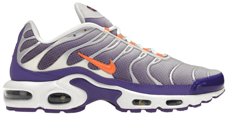 Nike Air Max Plus Color Flip