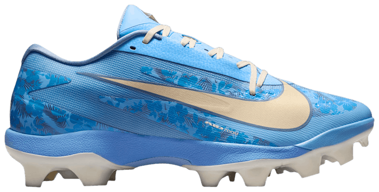 Nike Diamond Standout MCS Fathers Day