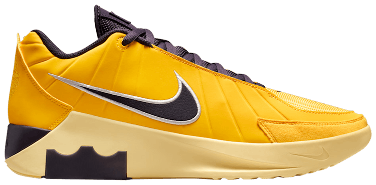 Nike LeBron Witness 9 EP LA Lakers