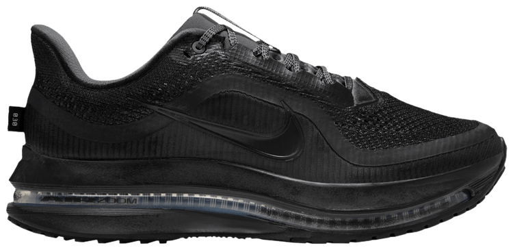 Nike Pegasus Premium Berlin Marathon