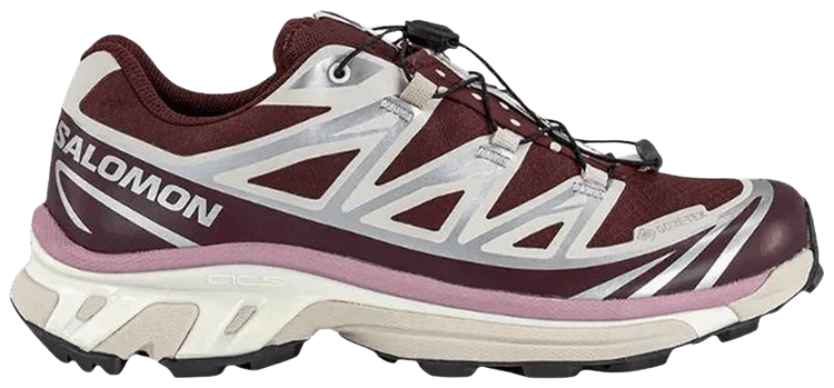 Salomon XT 6 GORE TEX Offspring Bitter Chocolate Rainy Day Pink Yarrow